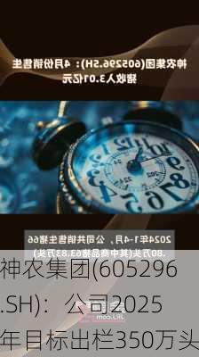 神农集团(605296.SH)：公司2025年目标出栏350万头