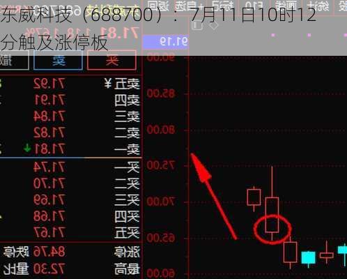 东威科技（688700）：7月11日10时12分触及涨停板