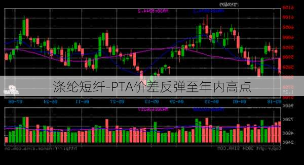 涤纶短纤-PTA价差反弹至年内高点