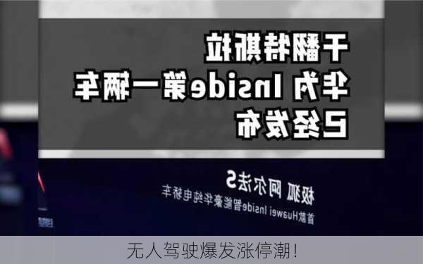 无人驾驶爆发涨停潮！