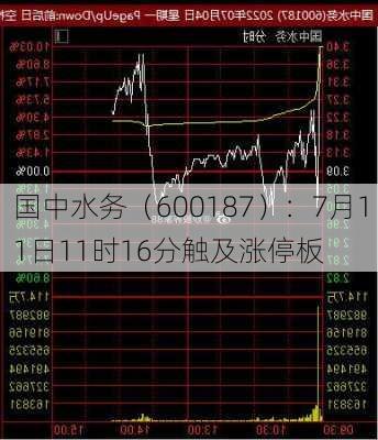 国中水务（600187）：7月11日11时16分触及涨停板