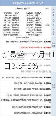 新易盛：7 月 11 日跌近 5%