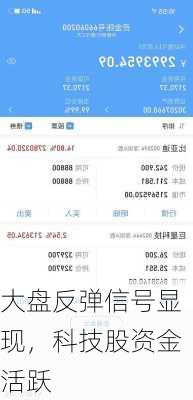 大盘反弹信号显现，科技股资金活跃