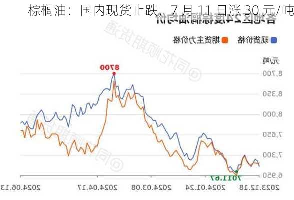 棕榈油：国内现货止跌，7 月 11 日涨 30 元/吨