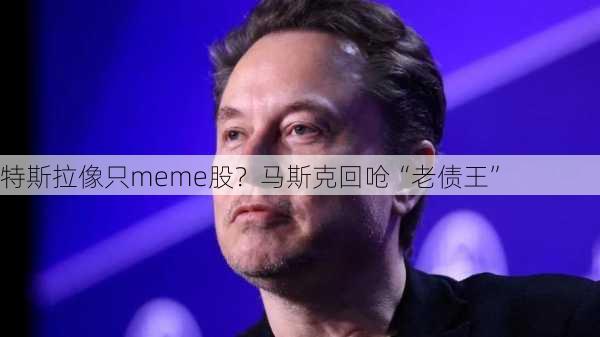 特斯拉像只meme股？马斯克回呛“老债王”