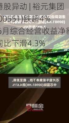 港股异动 | 裕元集团(00551)跌超4% 6月综合经营收益净额同比下滑4.3%