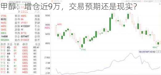 甲醇：增仓近9万，交易预期还是现实？