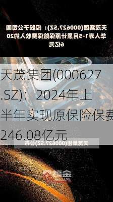 天茂集团(000627.SZ)：2024年上半年实现原保险保费收入246.08亿元