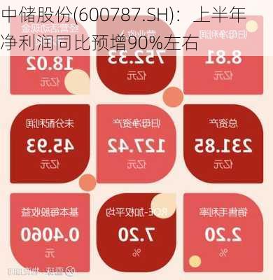 中储股份(600787.SH)：上半年净利润同比预增90%左右