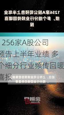 1256家A股公司预告上半年业绩 多个细分行业频传回暖喜报