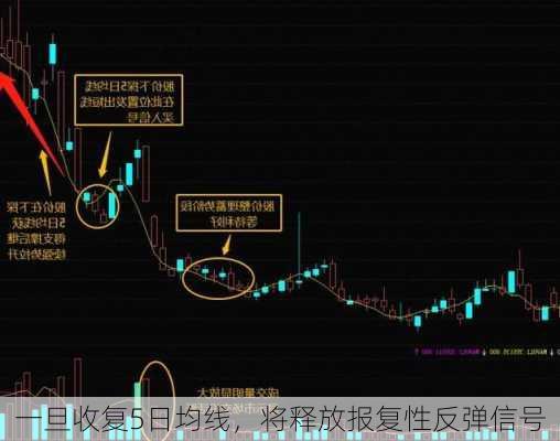 一旦收复5日均线，将释放报复性反弹信号