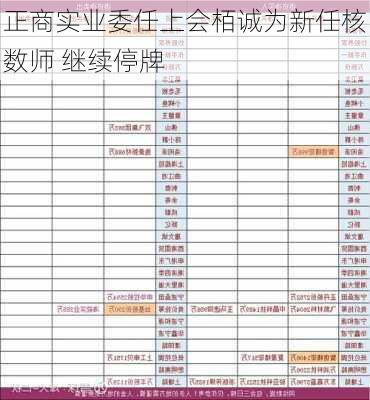 正商实业委任上会栢诚为新任核数师 继续停牌