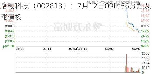 路畅科技（002813）：7月12日09时56分触及涨停板