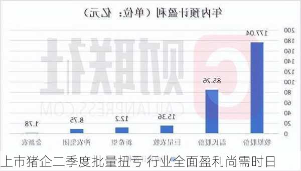 上市猪企二季度批量扭亏 行业全面盈利尚需时日