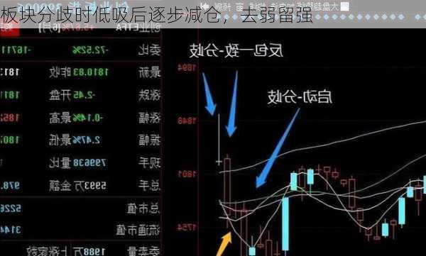 板块分歧时低吸后逐步减仓，去弱留强