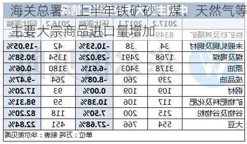 海关总署：上半年铁矿砂、煤、天然气等主要大宗商品进口量增加