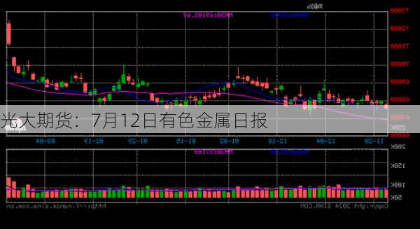 光大期货：7月12日有色金属日报