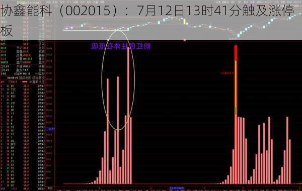 协鑫能科（002015）：7月12日13时41分触及涨停板