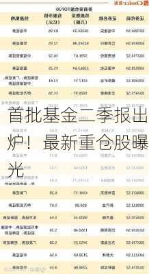 首批基金二季报出炉！最新重仓股曝光