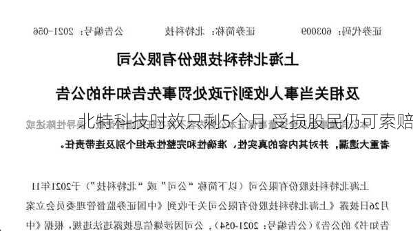 北特科技时效只剩5个月 受损股民仍可索赔