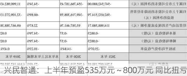 兴民智通：上半年预盈535万元～800万元 同比扭亏