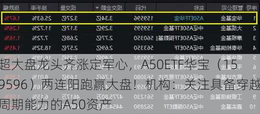 超大盘龙头齐涨定军心，A50ETF华宝（159596）两连阳跑赢大盘！机构：关注具备穿越周期能力的A50资产