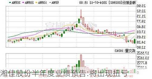湘佳股份半年度业绩预告:将出现扭亏