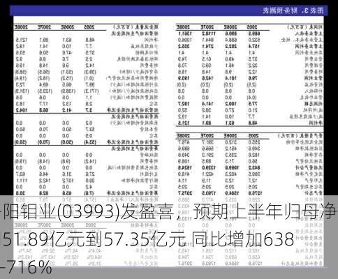 洛阳钼业(03993)发盈喜，预期上半年归母净利润51.89亿元到57.35亿元 同比增加638%-716%