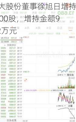 同大股份董事徐旭日增持6200股，增持金额9.92万元