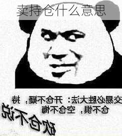 卖持仓什么意思