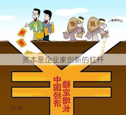 资本是企业家创新的杠杆