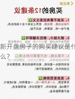 新开盘房子的购买建议是什么？