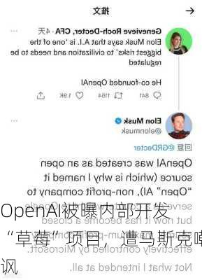 OpenAI被曝内部开发“草莓”项目，遭马斯克嘲讽