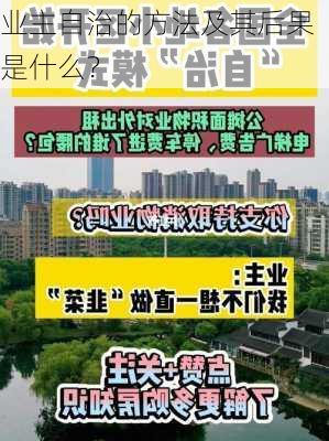 业主自治的方法及其后果是什么？