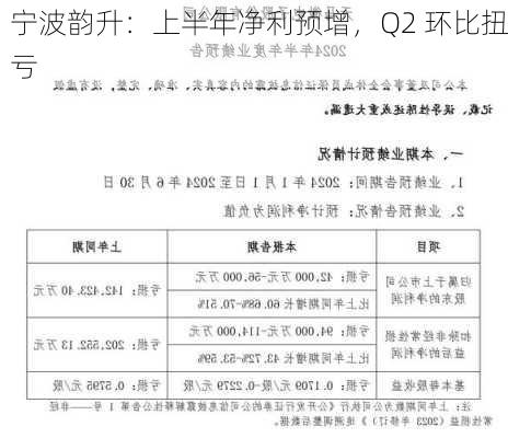 宁波韵升：上半年净利预增，Q2 环比扭亏