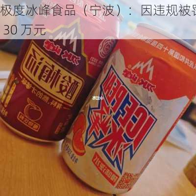 极度冰峰食品（宁波）：因违规被罚款 30 万元