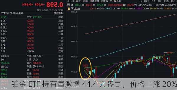 铂金 ETF 持有量激增 44.4 万盎司，价格上涨 20%