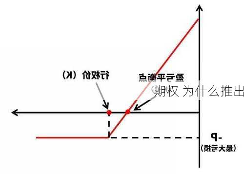 期权 为什么推出