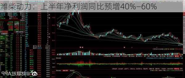 潍柴动力：上半年净利润同比预增40%―60%