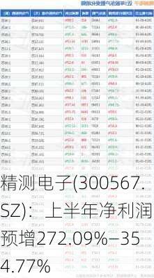 精测电子(300567.SZ)：上半年净利润同比预增272.09%―354.77%