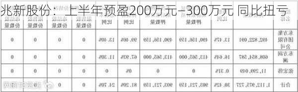 兆新股份：上半年预盈200万元―300万元 同比扭亏