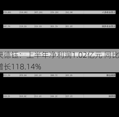 天德钰：上半年净利润1.02亿元 同比增长118.14%