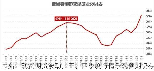 生猪：现货期货波动，三、四季度行情乐观预期仍存