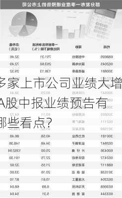 多家上市公司业绩大增 A股中报业绩预告有哪些看点？