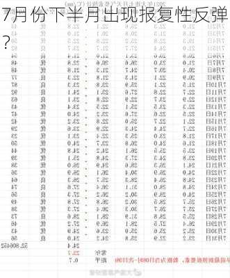 7月份下半月出现报复性反弹？