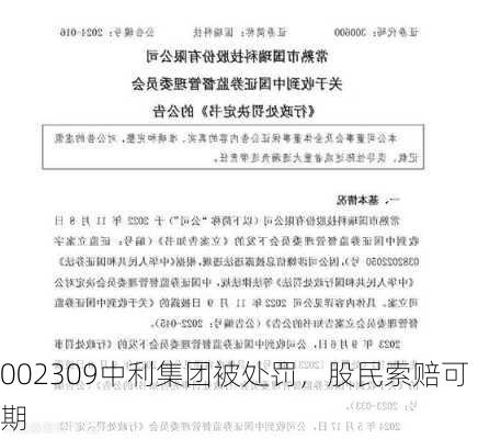 002309中利集团被处罚，股民索赔可期