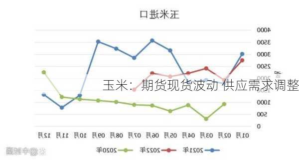 玉米：期货现货波动 供应需求调整