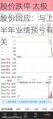 股价跌停 太极股份回应：与上半年业绩预亏有关