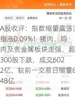 A股收评：指数缩量震荡沪指涨0.09%！猪肉、鸡肉及贵金属板块走强，超4300股下跌，成交6022亿，较前一交易日缩量848亿