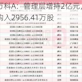 万科A：管理层增持2亿元，购入2956.41万股